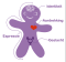Identiteit, aantrekking, geslacht, expressie